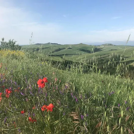 Il Borghetto In Crete Senesi Апартаменты Ашано